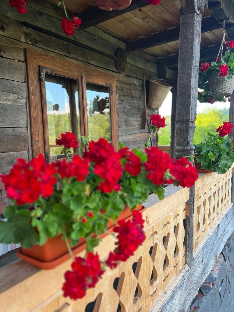 Casa Veche Breb 호텔 외부 사진